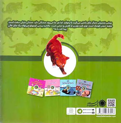 خوب بخوابی پیشی زنجبیلی